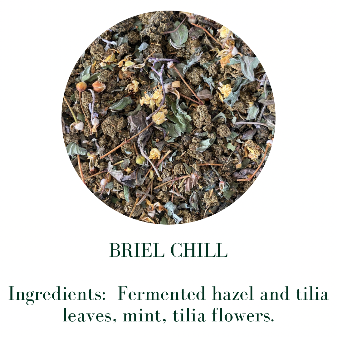 BRIEL CHILL