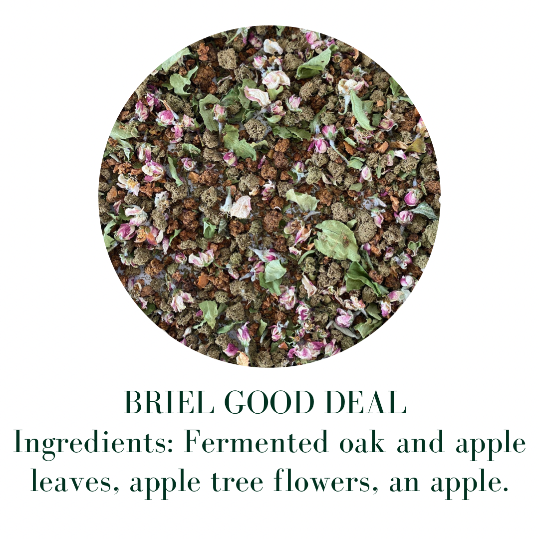 BRIEL GOOD DEAL
