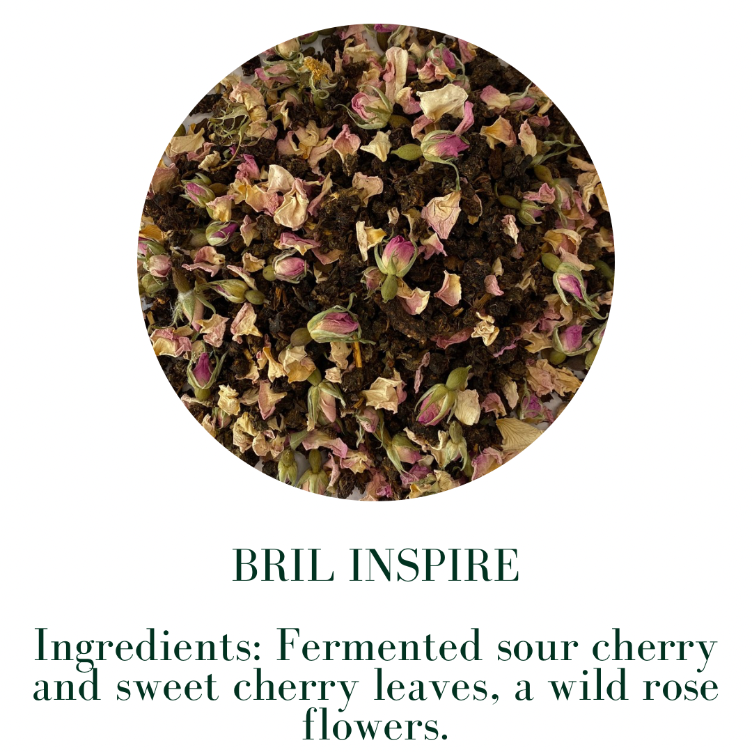 BRIEL INSPIRE