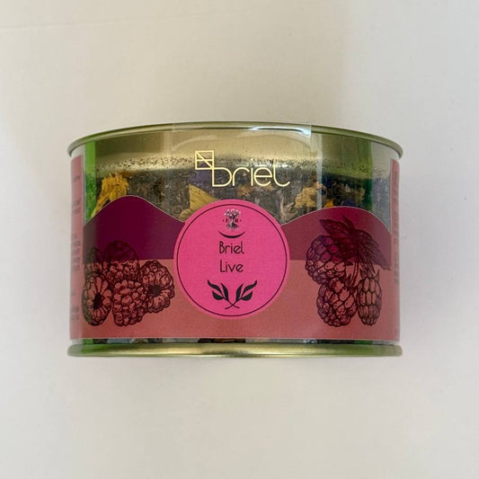 BRIEL LIVE
